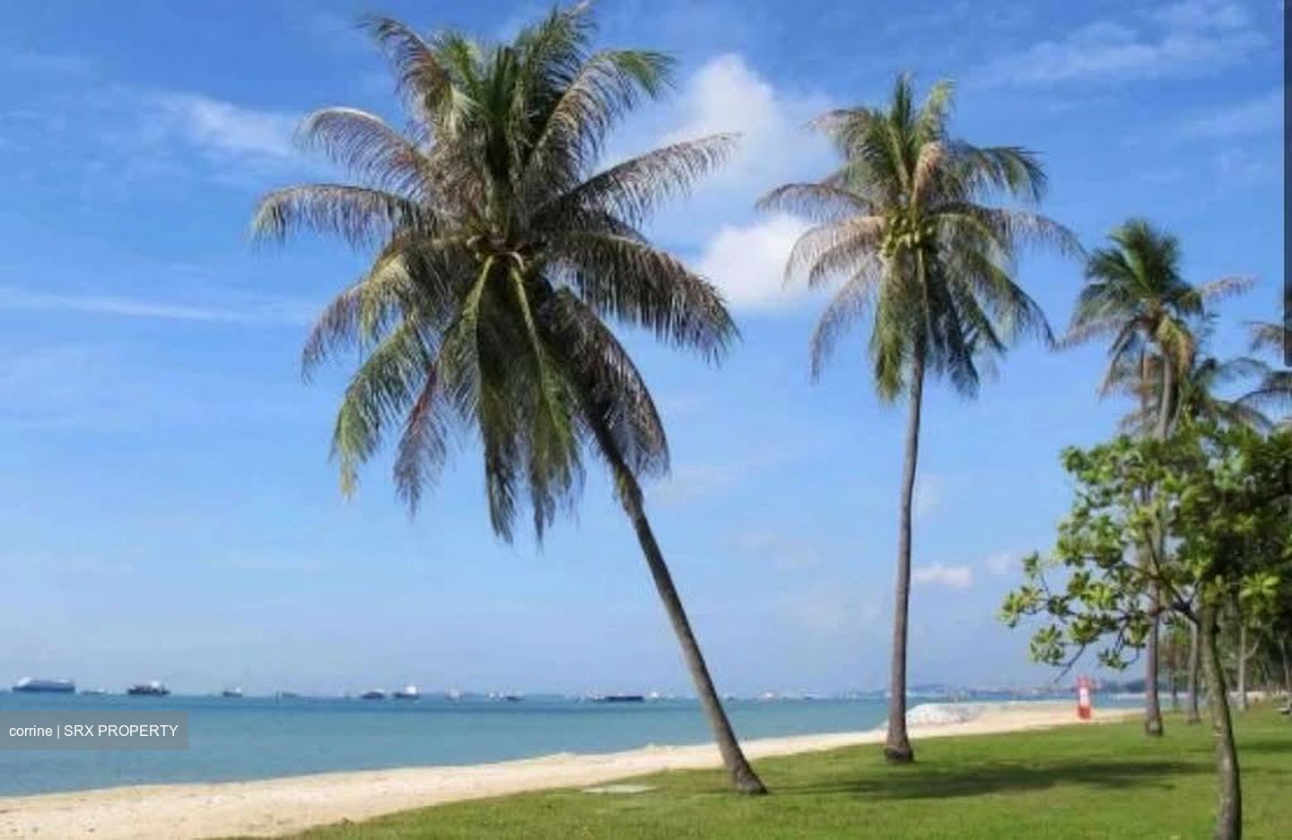 Vela Bay (D16), Apartment #608245961